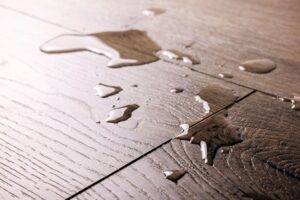 Signs of Water Damage on Wood Floors
